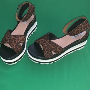Steve Madden sandals gently worn. Great condition! Size 8.5 .